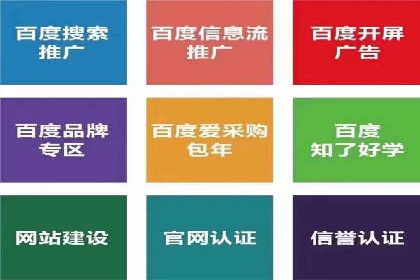 百度推广成功案例：关键词排名快速提升