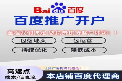 百度SEM竞价推广成功案例：某电商平台的营销奇迹